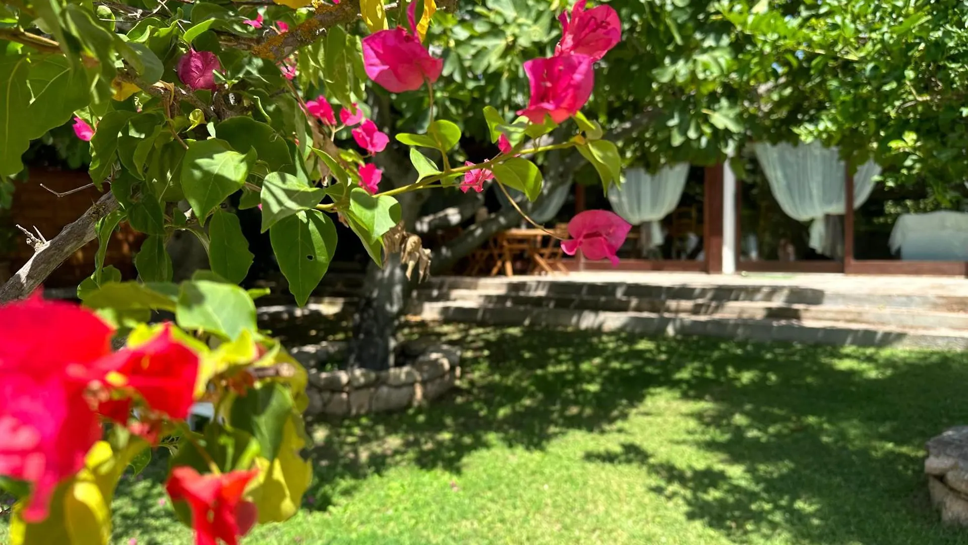 Villa Niloan 올비아